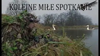 JAK FOTOGRAFUJEMY PTAKI WODNE/ MGLISTY PLENER /SONY/NIKON/PTAKI ZIMĄ//Z EDWINEM W TERENIE//