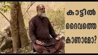 Nature Meditation