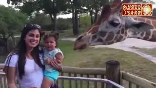 Смейся до слез на самых красивых секциях детей с животными -funny moments children vs animals