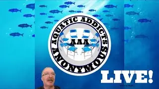 Aquatic Addicts Anonymous live meeting! Window shopping fish!! And unboxing! #aquarium #fishkeeping
