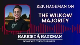 The Wilkow Majority | Rep. Hageman discusses the disaster at the southern border