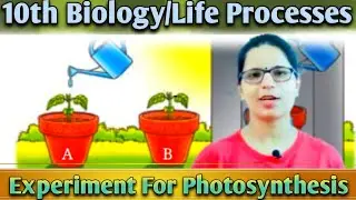 Experiment For Photosynthesis ll Life Processes ll Biology Class 10th ll Rapid Revision CBSE 2025-26