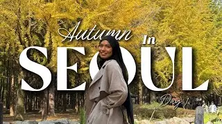 Autumn in Seoul 🍁 Day 1- Nami island, Winter sonata, Starfield Library, Gangnam (Dji Osmo Pocket 3)