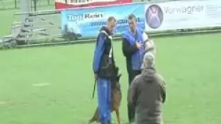 Nick Vannerom & Doc Van Het Dreiland 2009 FCI WM