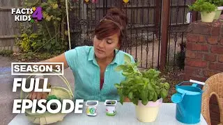 Pepper Boats | I Can Cook | S03 EP26 | Full Episode | Facts4Kids