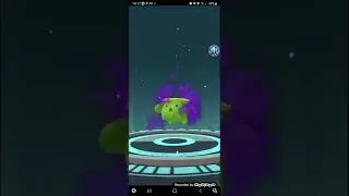 Hoppip Community Day [Pokemon Go]