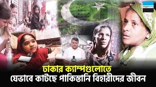 ঢাকার ক্যাম্পগুলোতে যেভাবে কাটছে পাকিস্তানি বিহারীদের জীবন | Geneva Camp | Milat Camp | Notun Shomoy