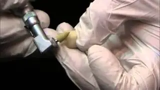 Axis | SybronEndo Polishers