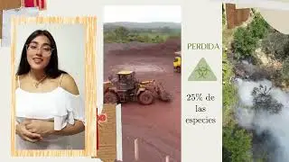 Avance de Portafolio 2 _Astryd Bel&eacute;n Guzm&aacute;n Torres-🌿 Guardianes de la Yunga: despertar ecol&oacute;gico🌿