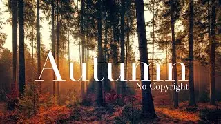 Beautiful Autumn - No Copyright Drone Shots | Royalty free drone shots | free stock videos