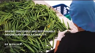 Making Traceable and Sustainable Indonesian Vanilla A Reality