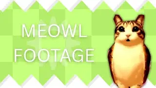 (ARCHIVE) Unreleased Meowl Footage || Outcome Memories