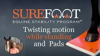 Twisting motion while standing and SURE FOOT pads.