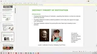 Psychology Openstax Chapter 10 motivation and emotion