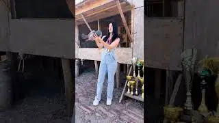 Pigeon lovers 🕊🔥👑 #pigeon #kabootar #g&uuml;vercin #kabutar #shorts #status #video #foryou #fyp