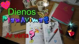 Dienos planavimas.  Ar verta ?
