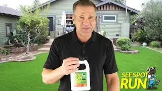 See Spot Run Lawn Protectant