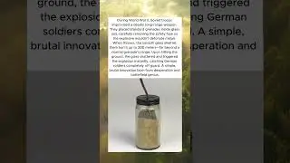 THE SOVIET GRENADE TRICK THAT SHOCKED THE ENEMY 💣🇷🇺