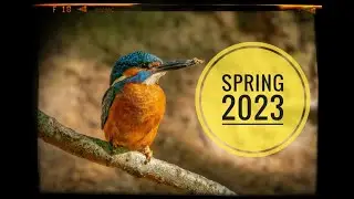 Spring 2023