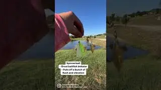 TOP 5 Lures For FALL Bass Fishing! 🍁