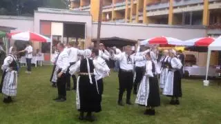 Schaulustig - Alzner Tanzgruppe