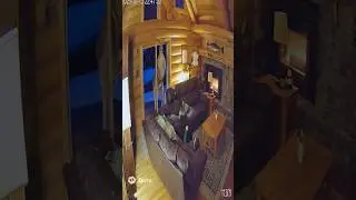 Shocking CCTV: Red Kangaroo Breaks In and Man Confronts Beast #shorts #cctv #trending