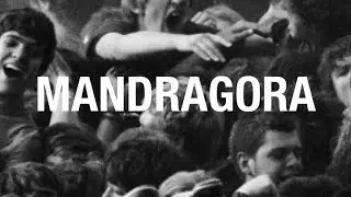 Fuck The Cops (Mandragora Remix) - original by: Todiefor, Meryl [Psy-Techno]