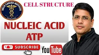 Nucleic Acid, Structure, concept of ATP