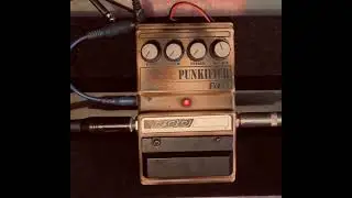 Punkifier fx76 DOD on bass guitar