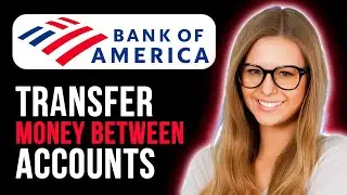 How to Transfer Money Between Accounts in Bank of America (Full Guide)