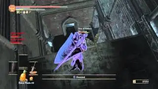 DARK SOULS&trade; III Badass ladders kill