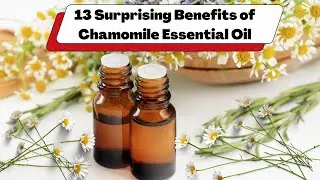 13 Surprising Benefits of Chamomile Essential Oil