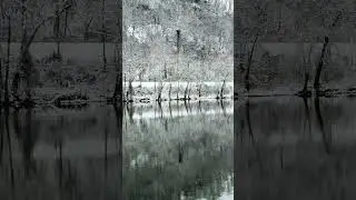 Winter Reflections #shorts