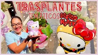 TRASPLANTE DE SUCULENTAS TEMATICAS | HELLO KITTY HERMOSO