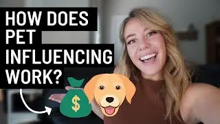 How Does Pet Influencing Work? - How People Make Money Off Their PETS!