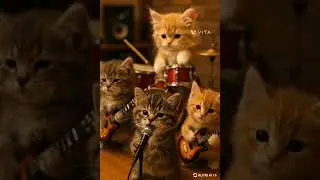 #ai #cartoon #kidstrendingvideo #cat meow meow
