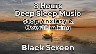 Gentle Rain & Soft Melodies | 8 Hours Pitch Black Screen | Deep Sleep & Dreamless Night