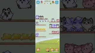 Cat Sort Puzzle: Cute Pet Game - Levels 18, 19 gameplay cute animal color colour sort game #games