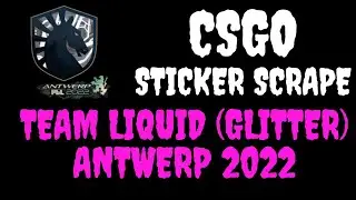CSGO - Sticker | Team Liquid (Glitter) | Antwerp 2022  - Scrape - Counter Strike (NO EASTER EGG)