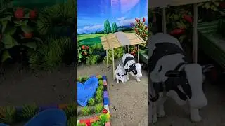 cow shed|Miniature farming|#minicowshed