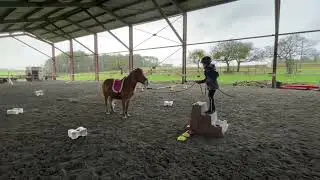Alicia et Ponette