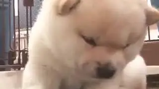 How to Sleep on Sunday night