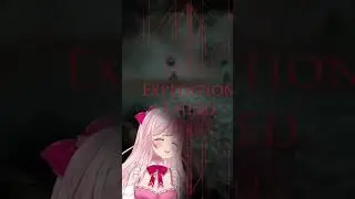 Their only Balloon...  #vtuberclip #kawaii #hiyocafe #funny #vtuber #cute #hiyo #expedition33