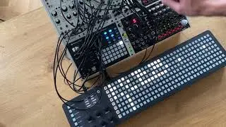 Polyend Seq + Preset music