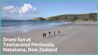 Tawharanui Regional Park in New Zealand - Incredible Drone footage