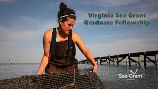 Virginia Sea Grant Graduate Fellowship