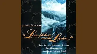 Die Winterreise, Op. 89, D 911: Frühlingstraum (Ver. 1)