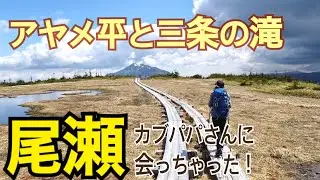 【尾瀬1日目】カブパパさんとばったり！アヤメ平と三条の滝