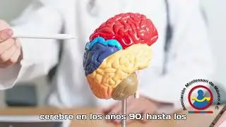 Historia y Evoluci&oacute;n de la Neuroeducaci&oacute;n: Del Siglo XIX a la Actualidad