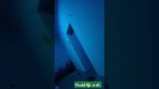 Hostel life in IIT......#highlights #youtube #iit #hostellife